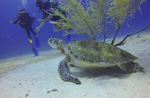 Discover Scuba Diving in Montego Bay