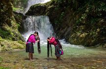Longji Rice Terraces and Minority Village Day Tour
