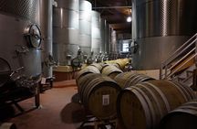 Private Group Wine Tour of Santa Barbara Wine Country