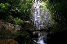 Day Trip to La Tigra and El Picacho Park