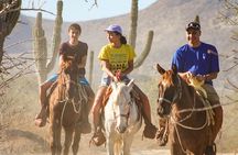 Horseback Riding Tour in Los Cabos