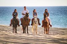 Horseback Riding Tour in Los Cabos
