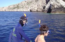 Full-Day Small-Group Dalmatian Coast Sailing Cruise from Split
