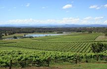 Private Hunter Valley Wine-Tasting Day Tour from Sydney