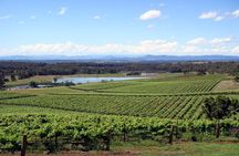 Private Hunter Valley Wine-Tasting Day Tour from Sydney