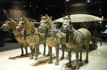 Xian Terracotta Warriors and City Wall Private Day Tour