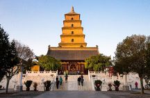 One Day Terracotta Army and Big Wild Goose Pagoda Private Tour