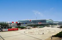 Xian Best Day Tour with Airport / Railway Station Transfer
