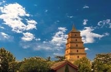 Xian Small Group Day Tour:Terracotta Army, Big Wild Goose Pagoda and City Wall