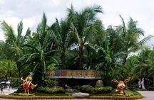 Half Day Private Tour to Yanoda Tropical Rain Forest Park