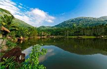 Half Day Private Tour to Yanoda Tropical Rain Forest Park