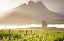 Vine Hopper: Hop-On Hop-Off Wine Tour - Northern Route