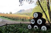Vine Hopper: Hop-On Hop-Off Wine Tour - Southern Route