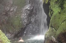 MINDO CLOUD FOREST - Nature & Birds - Personalized Experience