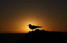 Galapagos Island Hopping (Santa Cruz, San Cristobal and Isabela)