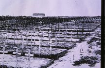 Australian Battlefields Private Tour in Flanders from Bruges