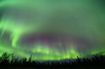 Northern Lights Murphy Dome Viewing in Fairbanks