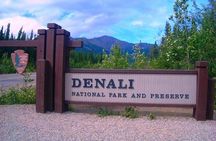Fairbanks to Denali Shuttle Service