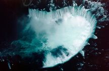 Private Niagara Falls Tour in a SUV