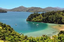 Full Day Kayak & Walk Tour-Queen Charlotte Sound & Link Pathway 