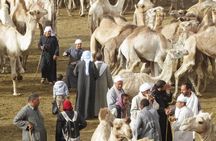 Cairo Unusual Day Tour Visit Camel Market in Birqash