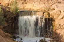 Valley of Whales and Wadi El Rayan Water Falls Day Tour from Cairo