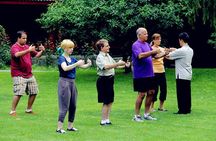 Beijing Private Tai Chi Class 