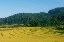 Inthanon Day Trip from Chiang Mai with Lunch - Group or Private