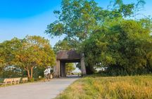 Day Trip to Duong Lam Ancient Village from Hanoi