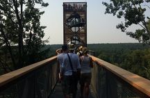 Private Day Trip to Anyksciai and The Hill of Crosses from Vilnius