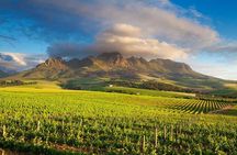 Cape Winelands - Stellenbosch, Franschoek & Paarl, small group tour 