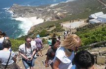 Best of the Cape (Cape Point & Winelands)