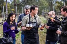 Chef-Led Hunter Valley Gourmet Food and Wine Day Tour from Sydney