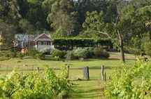 Chef-Led Hunter Valley Gourmet Food and Wine Day Tour from Sydney