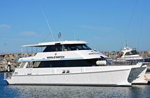 Educational Whale Watching Tour from Perth