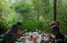 Cape Tribulation, Mossman Gorge and Daintree Rainforest Day Tour