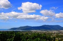 Private Half Day Tour: World Heritage Rainforest & Waterfall