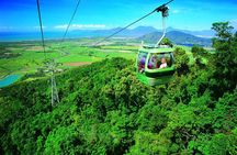 5-Day Best of Cairns with Daintree, Kuranda, and Great Barrier Reef