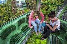 6-Day Best of Cairns Including the Great Barrier Reef, Kuranda and the Daintree Rainforest