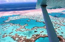 8-Day Cairns Tour: Great Barrier Reef, Kuranda, Daintree Rainforest