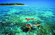 4-Day Cairns with Great Barrier Reef and Daintree Rainforest