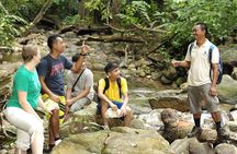 Morning Rainforest Walking from Langkawi