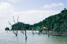 Bako National Park from Kuching City