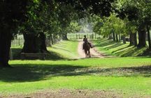 Private Day Tour to an Argentinian Estancia