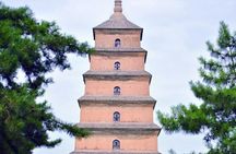 Terracotta Army&Big Wild Goose Pagoda Private Day Tour