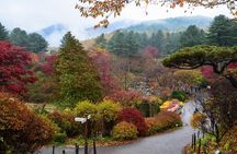 Nami Island from Seoul: Petit France and Garden of Morning Calm
