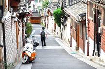 Seoul: Fully Customizable Private Tour 