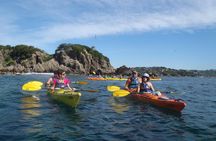 Calanques National Park Kayak Day Tour