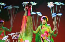 Beijing Acrobatic Show with Peking Duck Dinner Private Tour