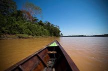3-Day Amazon from Puerto Maldonado with Eco Lodge Accommodation